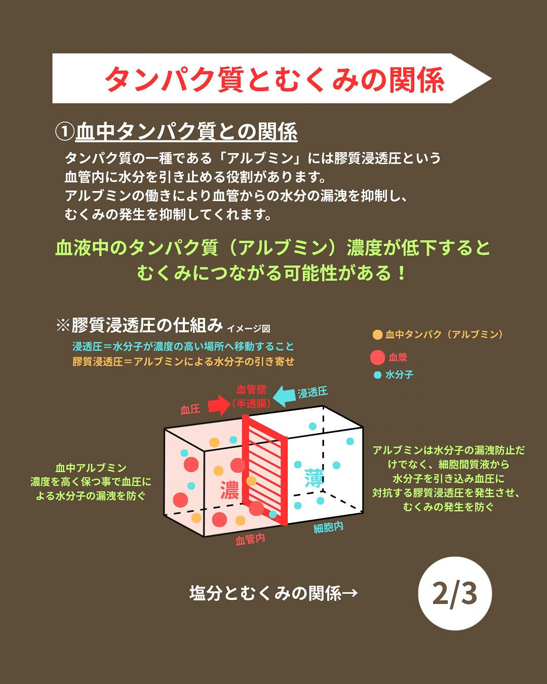 ＼むくみが気になる方必見！／