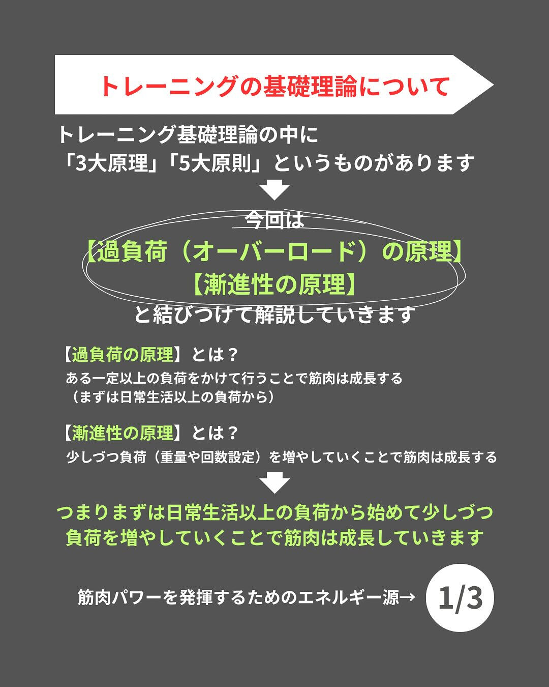 ＼サプリメント何がいいかわからない方必見！／