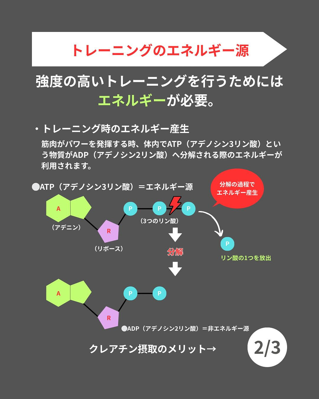 ＼サプリメント何がいいかわからない方必見！／